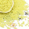 Baking Paint Glass Seed Beads SEED-L011-09A-20-1