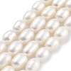 Natural Cultured Freshwater Pearl Beads Strands PEAR-P062-08L-2