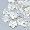 Natural White Shell Beads SSHEL-S260-009-1