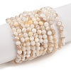 Natural Freshwater Shell Beads Strands SHEL-T011-02-3mm-1