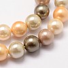 Shell Pearl Bead Strands BSHE-L017-12-3