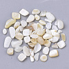 Freshwater Shell Beads LS-SHEL-S266-11-2