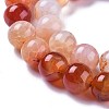 Crackle Natural Carnelian Beads Strands G-H235-4