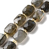 Natural Labradorite Beads Strands G-H061-A01-01-1