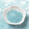 8/0 Glass Seed Beads SEED-Z001-C-E03-2