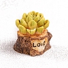 Resin Potting Figurines  Miniature Ornaments PW-WGB8C3F-02-1