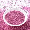 MIYUKI Round Rocailles Beads X-SEED-G007-RR0355-2
