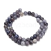 Natural Iolite Beads Strands G-G300-A04-8mm-3