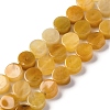 Natural Topaz Jade Beads Strands G-C159-B02-01-1