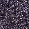 MIYUKI Delica Beads X-SEED-J020-DB1760-3