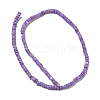 Dyed Natural Freshwater Shell Beads Strands BSHE-G039-07B-2