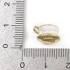 Alloy Enamel Charms ENAM-I067-02G-01-3