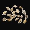 Spiral Shell Charm Pendants SSHEL-R036-17-1