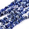 Natural Sodalite Chips Beads Strands LS-F024-1