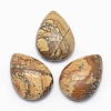 Natural Picture Jasper Cabochons G-E491-B-26-1