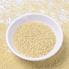 MIYUKI Delica Beads SEED-J020-DB1287-2