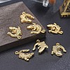 Alloy Pendants TIBEP-A040-015G-NR-4
