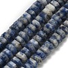Natural Blue Spot Jasper Beads Strands G-G317-A11-3x6mm-2