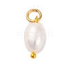 5Pcs Natural Cultured Freshwater Pearl Potato Charms PALLOY-JF02954-1