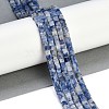 Natural Blue Spot Jasper  Beads Strands G-B129-A10-01-2