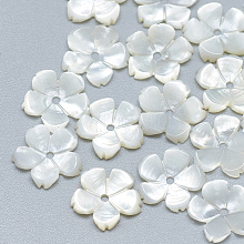 Natural White Shell Beads SSHEL-S260-009