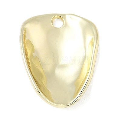 Alloy Pendants FIND-L025-17G-1