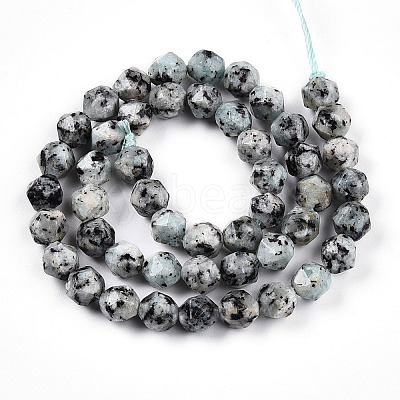 Dyed Natural Sesame Jasper Beads Strands G-T139-8mm-47J-1