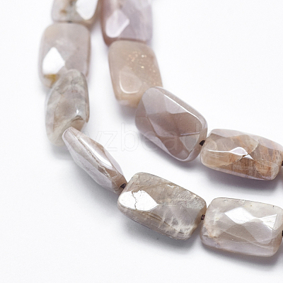 Electroplate Natural Sunstone Beads Strands G-K256-19A-02-1