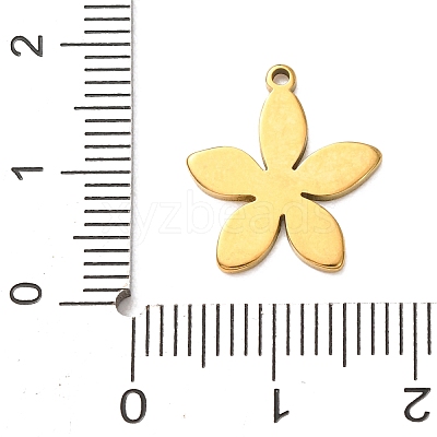 304 Stainless Steel Pendants STAS-Z204-01G-04-1