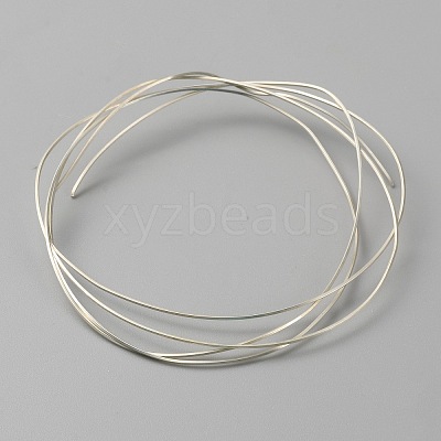 925 Sterling Silver Wires STER-WH0009-03A-1