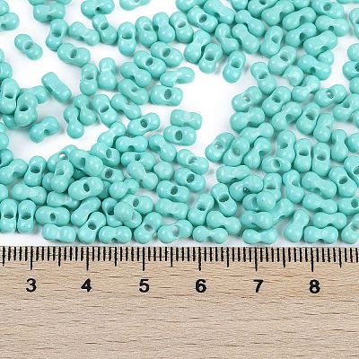 Baking Paint Glass Seed Beads X1-SEED-K010-A19-1