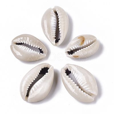 Natural Cowrie Shell Beads X-SSHEL-N034-33-1