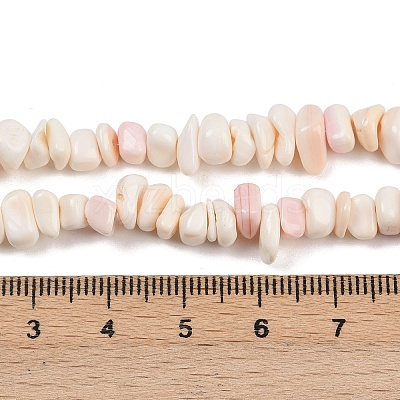 Natural Pink Shell Beads Strands SSHEL-L016-19-1