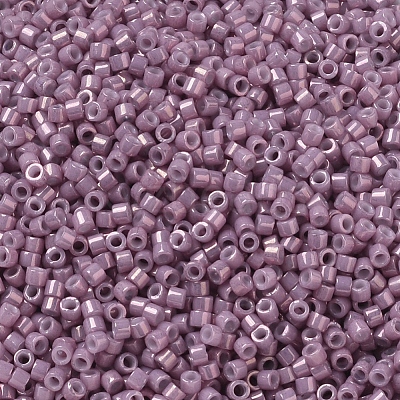 MIYUKI Delica Beads Small X-SEED-J020-DBS0253-1