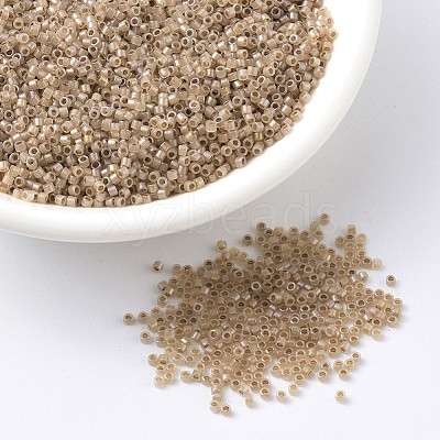 MIYUKI Delica Beads SEED-MY11-DB1731-1