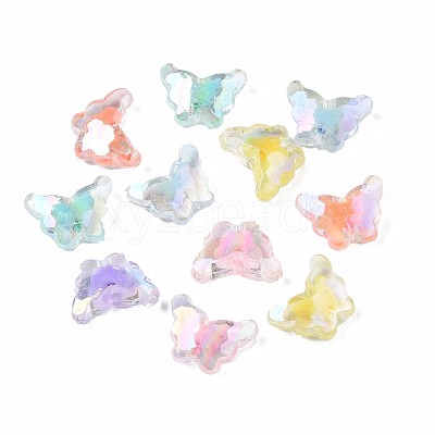 Transparent Acrylic Beads TACR-S135-006-1