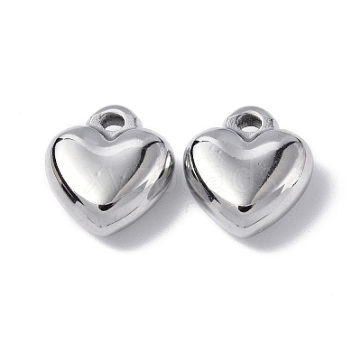 Non-Tarnish 304 Stainless Steel Charms STAS-C066-16P-1