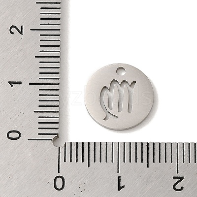Non-Tarnish 201 Stainless Steel Charms STAS-E217-10P-01-1