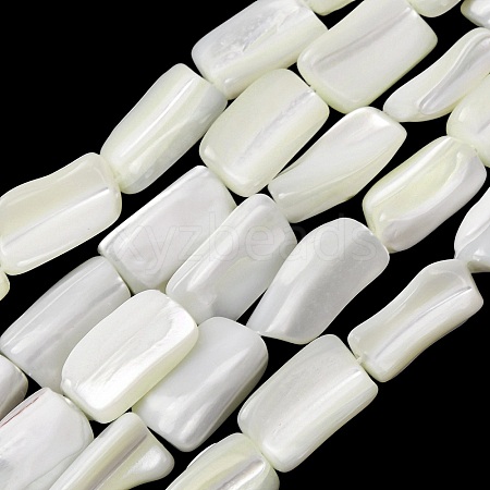 Natural Trochid Shell/Trochus Shell Beads Strands SH-CBA2978-20A-1