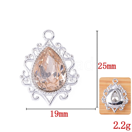 Glass Rhinestone Pendants FIND-WH0021-91S-03-1