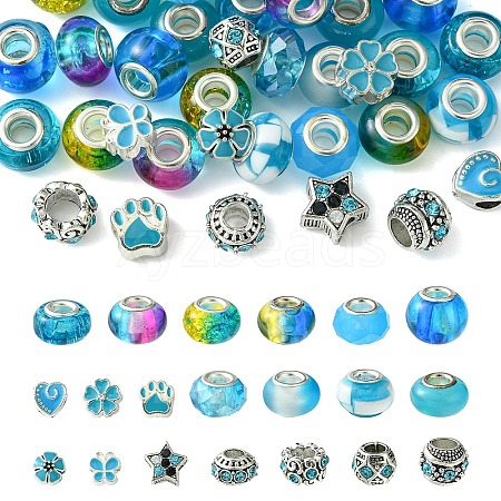 DIY Glass & Resin & Alloy Enamel European Beads Jewelry Making Finding Kit DIY-YW0009-01-1