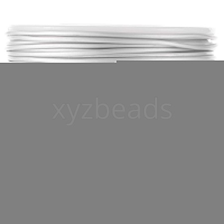 SUNNYCLUE 2 Rolls Matte Aluminum Wire AW-SC0001-01-1