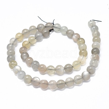 Natural Grey Moonstone Beads Strands G-F632-24-03-1