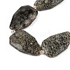 Natural Snowflake Obsidian Beads Strands G-P548-B20-01-3