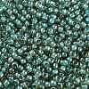 TOHO Round Seed Beads SEED-XTR11-0953-2