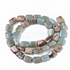 Natural Aqua Terra Jasper Beads Strands X-G-S366-016-2