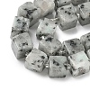 Natural Sesame Jasper Beads Strands G-D338-A20-4