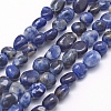 Natural Sodalite Beads Strands G-K230-04B-1