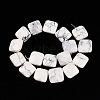 Natural Howlite Beads Strands G-T138-157-2