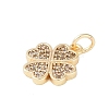 Rack Plating Brass Micro Pave Clear Cubic Zirconia Charms KK-Z060-13G-2